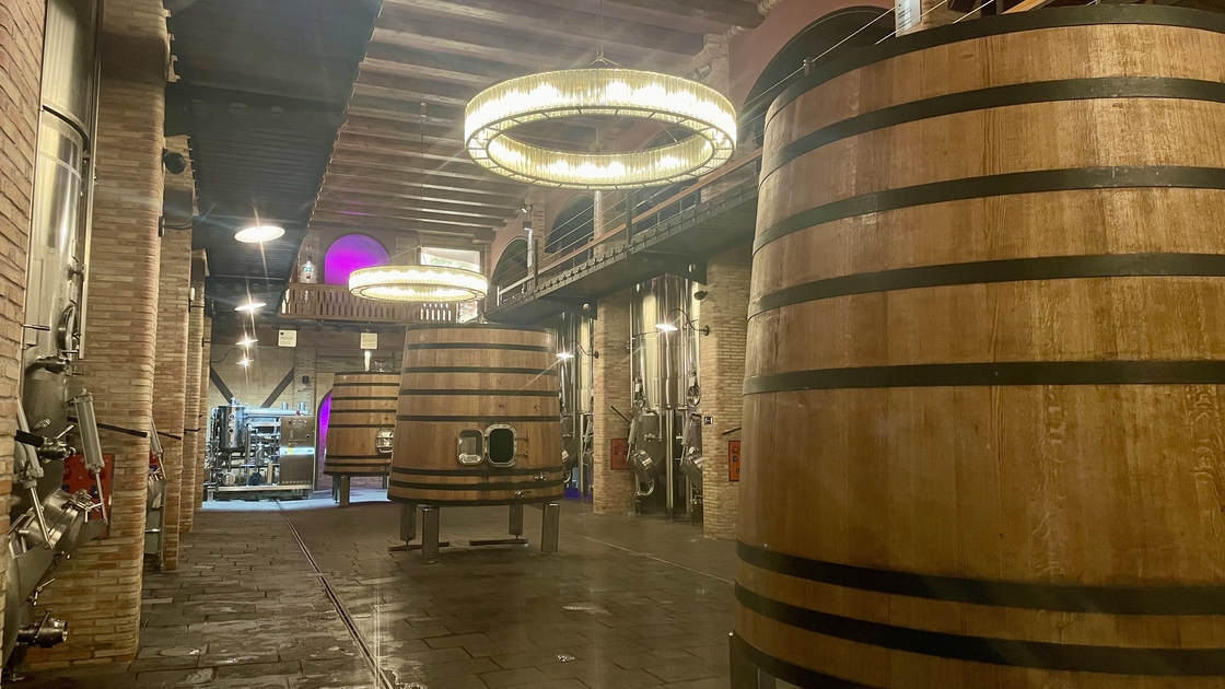 Photograph inside the winery